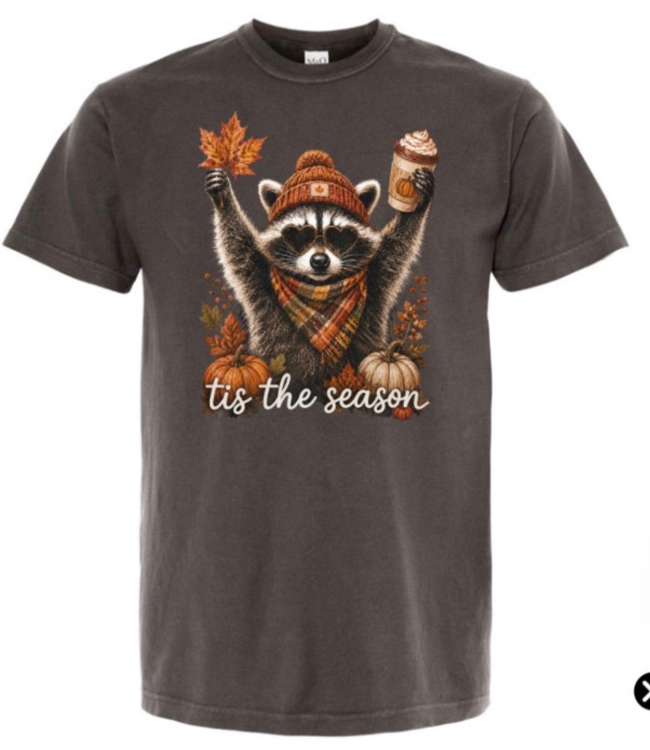 Tis the Season Raccoon