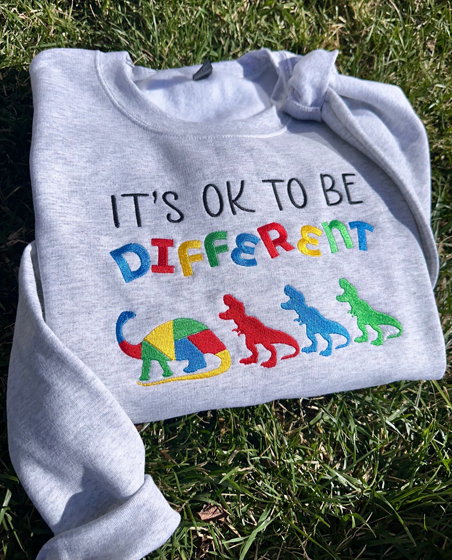 Different Dinos Embroidered Sweatshirt
