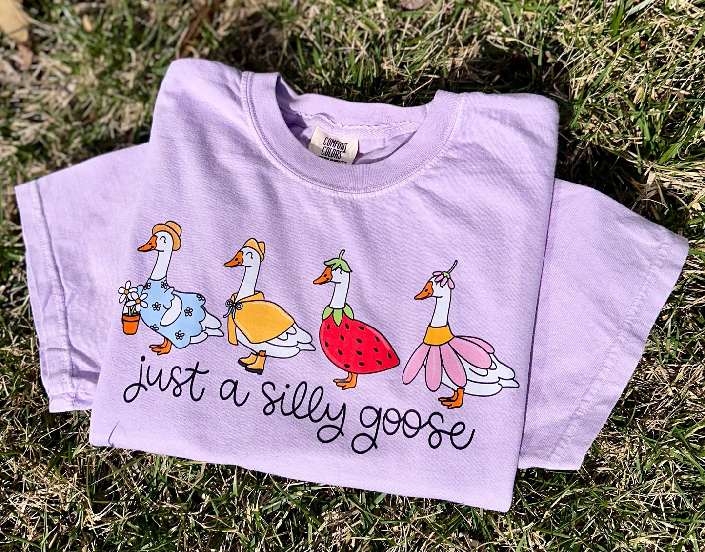 Just a Silly Goose DTF Tee