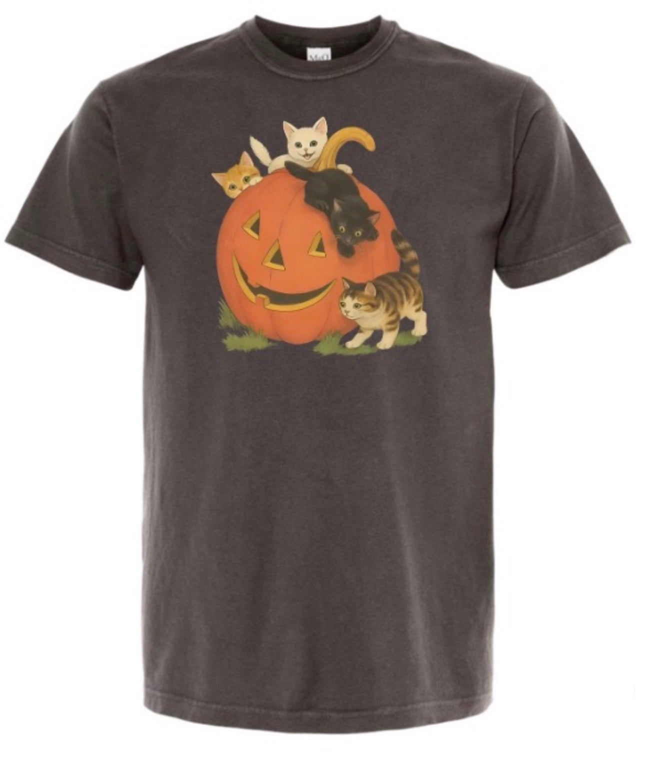 Vintage Pumpkin Kitties