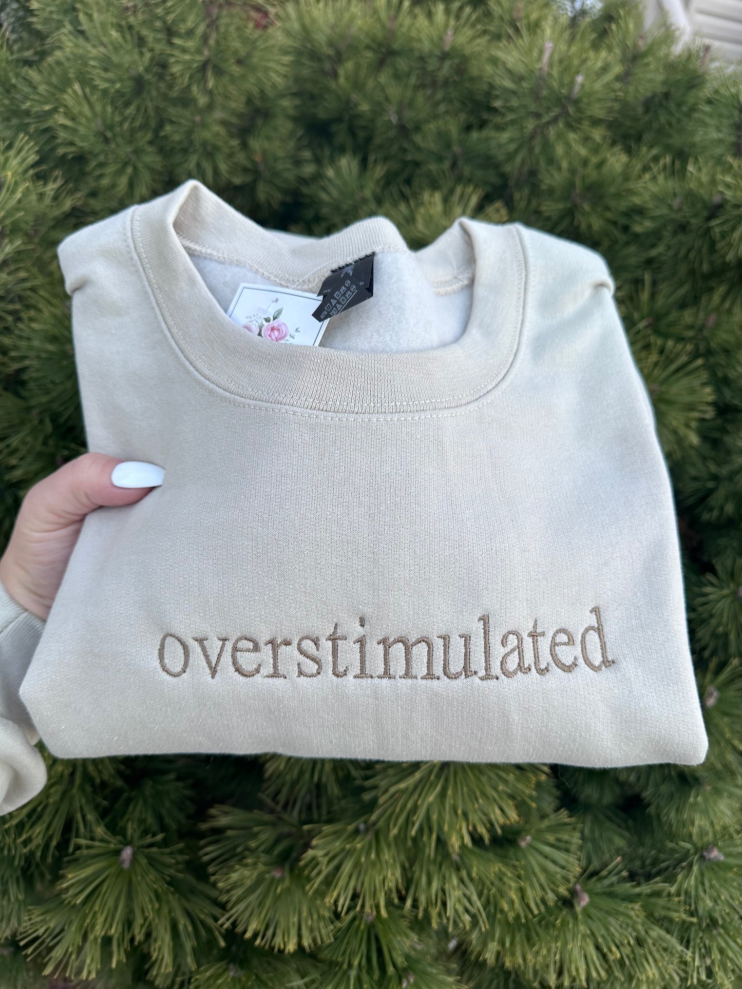 Overstimulated Embroidered Sweatshirt