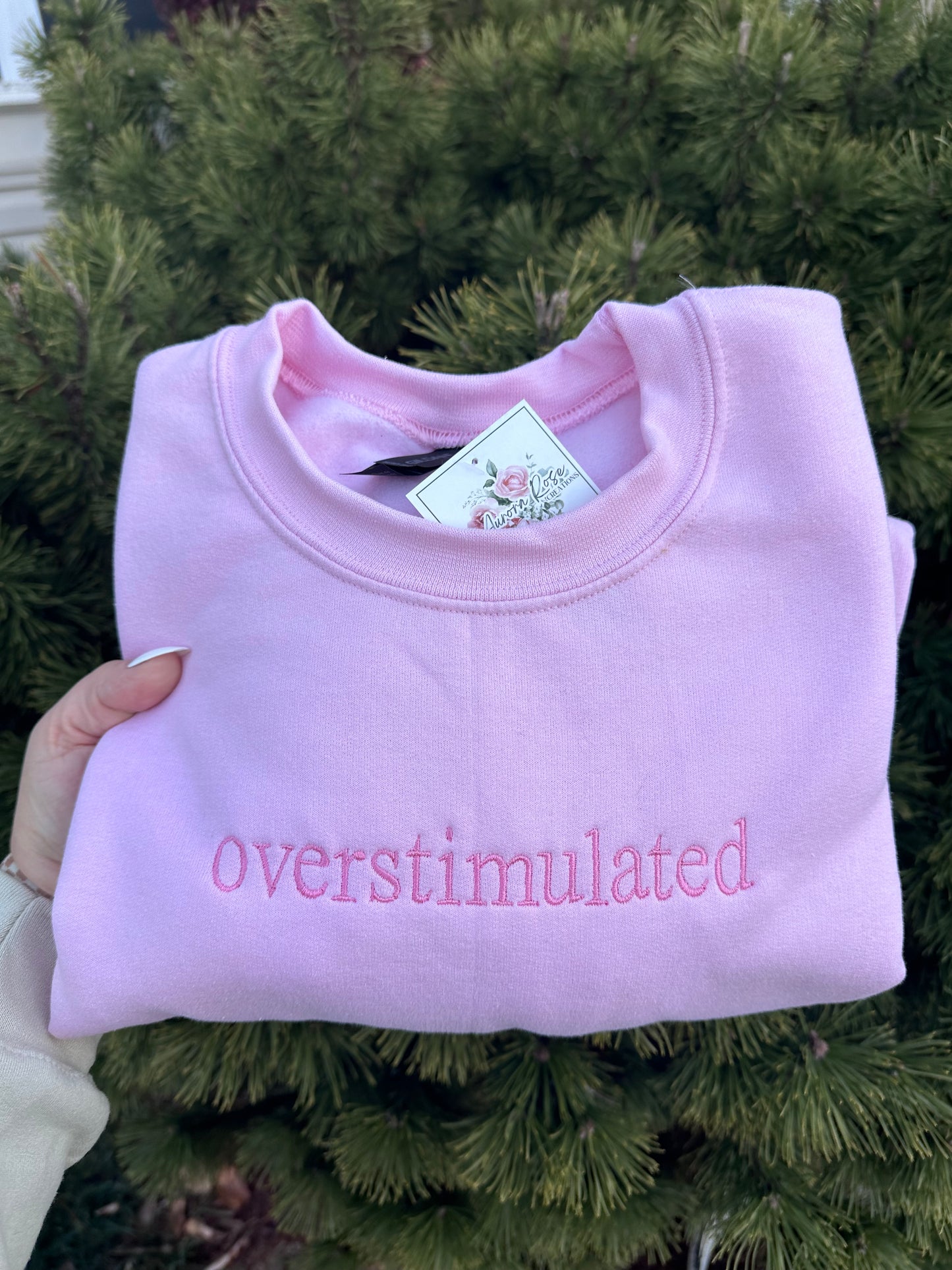 Overstimulated Embroidered Sweatshirt