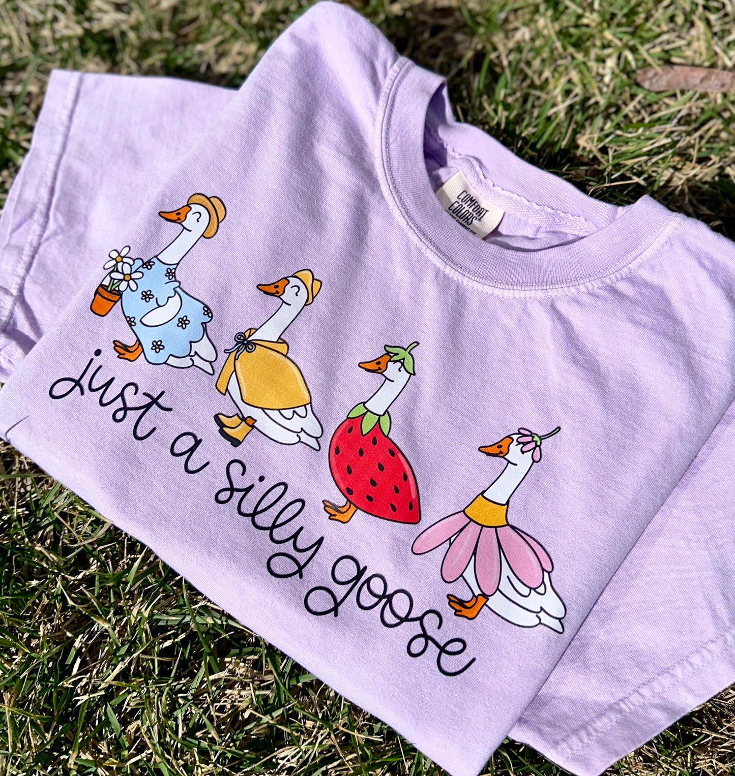 Just a Silly Goose DTF Tee