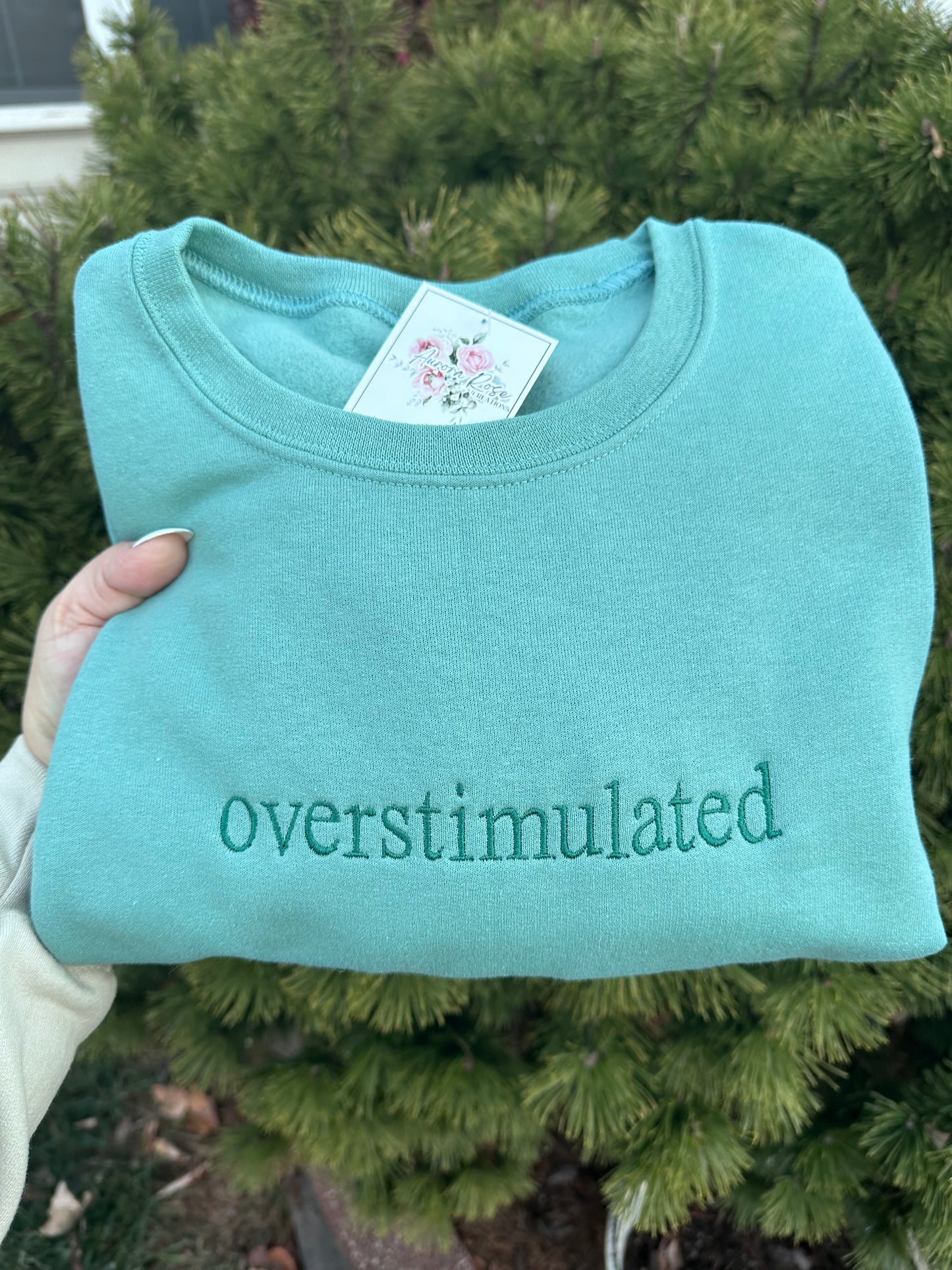 Overstimulated Embroidered Sweatshirt